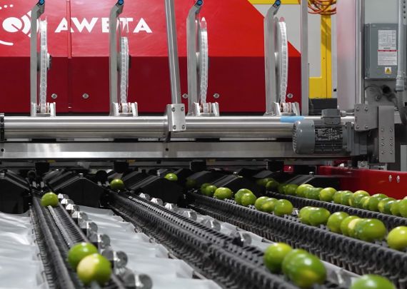 Aweta industry leading lime sorting project for San Jose Produce