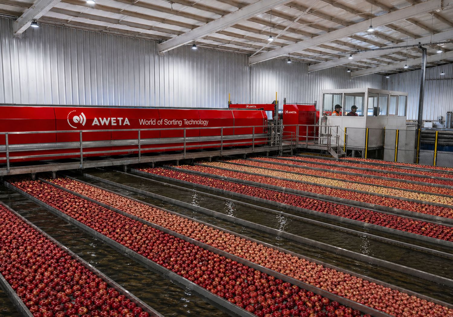 Aweta at the heart of new Empresas San Clemente project in Angol, Chile